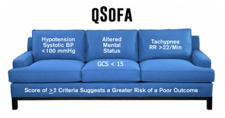 qSOFA Score Calculator & Sepsis Criteria Explained